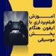 آموزش فیلمبرداری با آیفون هنگام پخش موسیقی
